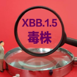 XBB和XBB.1.5到底是什么？在国外传播情况怎么样？