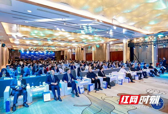 共谋发展 第22届中国国际白银年会在长沙举行