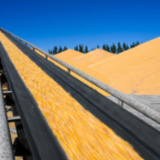 再创历史新高！2023年全国粮食总产量13908亿斤