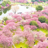 长沙旅游真的没有淡季吗？周末长沙部分景区游客爆棚