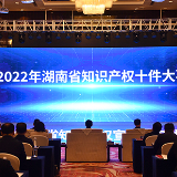 2022年湖南省知识产权十件大事公布