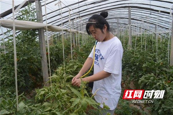 图片1_副本_副本.png