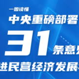 一图读懂丨中央重磅部署，31条意见促进民营经济发展壮大