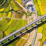 震撼秋景！复兴号穿越金色稻田