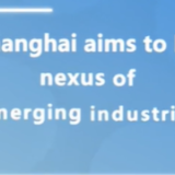 Shanghai aims to be nexus of emerging industries