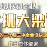 联播观察｜关键词看改革 民营企业更有底气