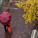 警惕“大厂离职”背后的这种套路