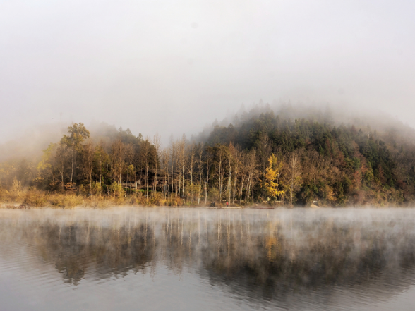 打卡靖州冬日C位！“杨梅之乡”藏着生态活画卷