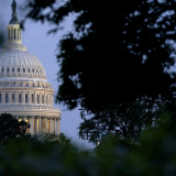 禁止特朗普绕过国会对委内瑞拉动武议案被否