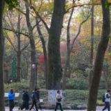 杭州：灵隐飞来峰景区免费开放