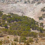 英法等14国呼吁以色列停止在约旦河西岸扩建定居点