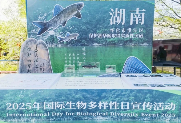 上央视啦！湖南一案例获全国十佳