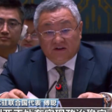 中国代表：叙利亚临时当局应切实履行反恐义务 打击踞叙恐怖势力