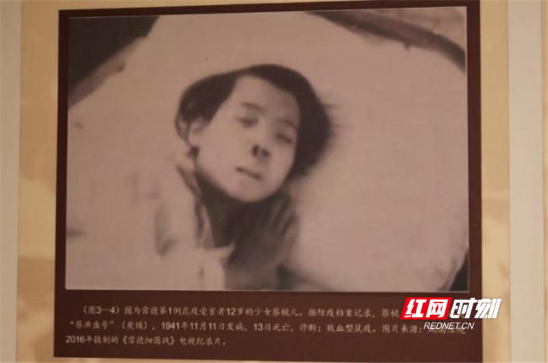 图片2_副本_副本.png