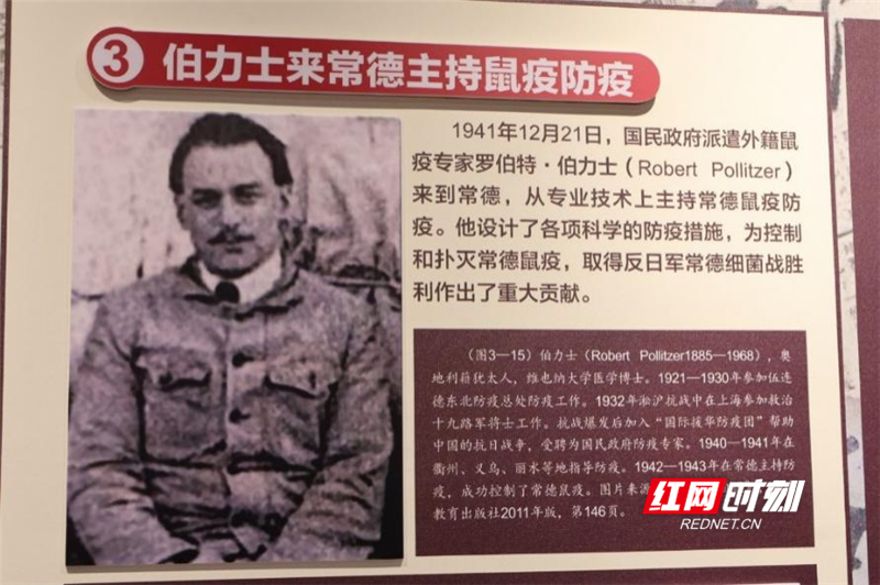 图片3_副本_副本.png