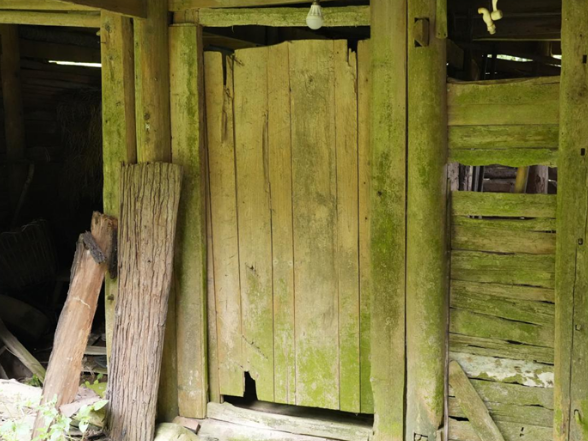 重走英雄之城④｜在洞口江口镇，我们触摸到八十年前同龄人的抉择