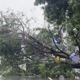 台风“博罗依”登陆越南后已造成19人死亡、21人失踪
