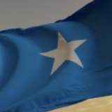 索马里宣布终止与阿联酋的所有协议