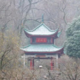 湖南29县（市、区）出现积雪 明天湘南冻雨或小雨转阴天 过程趋于结束