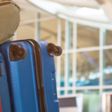 寒假来临,这份安全指南请签收