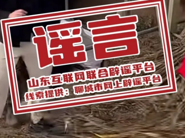 山东聊城一大龄女青年被父母逼婚致精神失常？官方回应