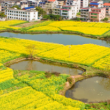 看湖南在5年过渡期如何念好“精”字诀、找“准”发力点——把“精准”写进衔接答卷中