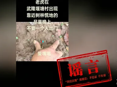 网传“重庆武隆堰塘村出现老虎”系不实信息