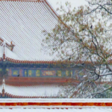 中式美学！故宫遇上春雪的氛围感