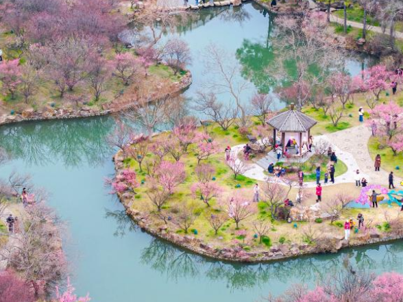 一册繁花 满目春色