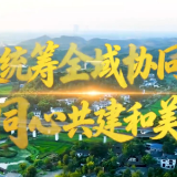 向上的力量：党建统筹全域协同 同心共建和美三湘