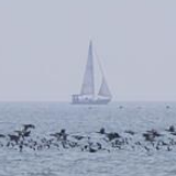 《焦点访谈》 20200710 一次特殊的高考