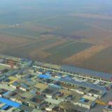 春天的故事丨我是党员我先上