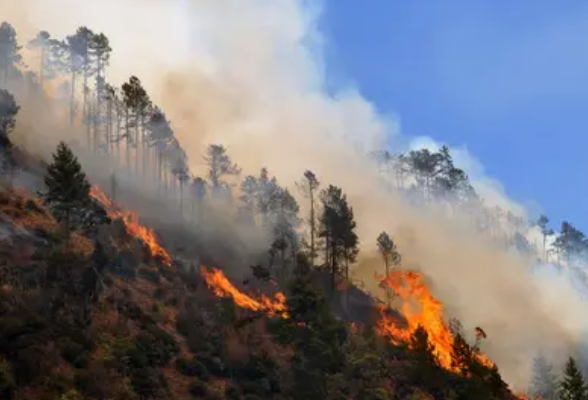 浏阳绘制“应急作战图”防范森林火灾