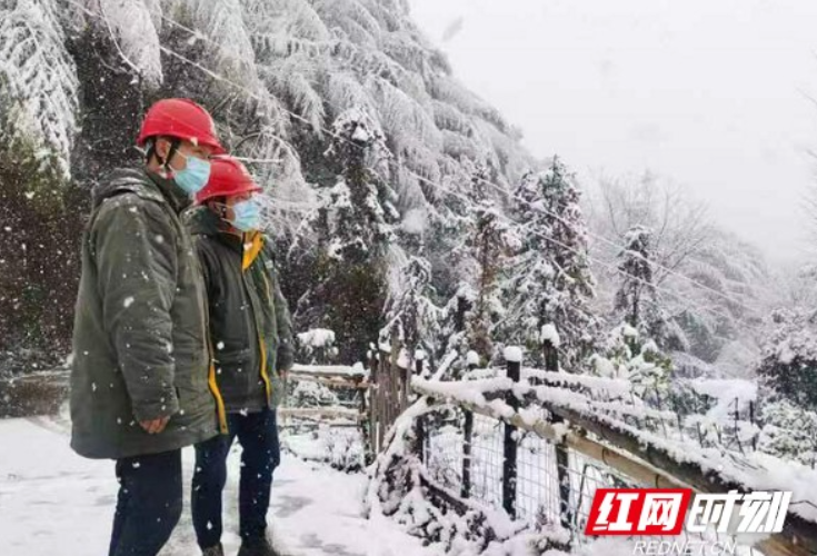 战风雪丨娄底供电“电骏马”踏雪巡线保供电