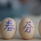 春分“竖蛋”习俗原理是啥?揭秘来了