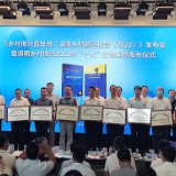 永州3地1人上榜“湖南乡村振兴2021年‘十大’优秀案例”