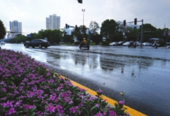 好不容易下场雨刚打湿地面就停？