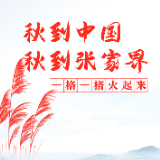 秋到中国，秋到张家界，一格一格火起来！