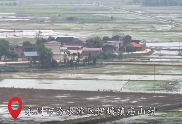 视频丨永州：“智慧”春风拂过希望的田野