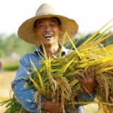 把梦想种在田野上！湖南公示2023“十佳农技推广标兵”和“十佳农民”入围名单