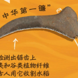 距今8000年左右，它不简单→