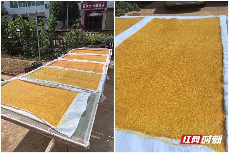 1762175313182__EwNzQ3LmpwZw.jpg 1762175313182__EwNzQ3LmpwZw.jpg