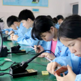 “链”上1.9万人——一座小县城的就业启示录