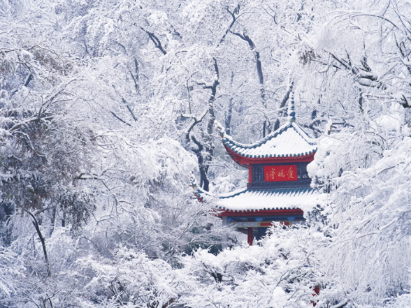 山河与共，初雪同赏｜时刻新闻邀请你分享镜头里的2026湖湘第一场雪