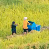 民生回音壁②丨让农货出得去、村民走得好！人大代表建言攻坚山区“最后一公里”