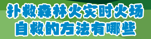 八戒体育红网手机报科普专刊丨森林防火 守护共同家园(图7)