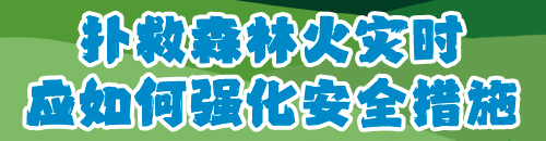 八戒体育红网手机报科普专刊丨森林防火 守护共同家园(图6)