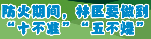 八戒体育红网手机报科普专刊丨森林防火 守护共同家园(图4)