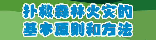 八戒体育红网手机报科普专刊丨森林防火 守护共同家园(图8)