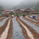 双牌县上梧江瑶族乡：紧锣密鼓备春耕